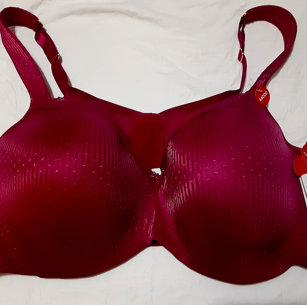 Ashley Stewart Butterfly bra